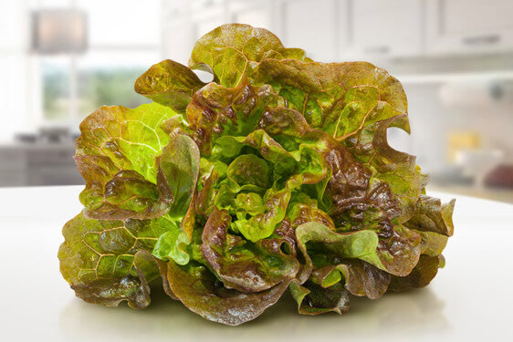 Insalata Canasta, 1 pezzo