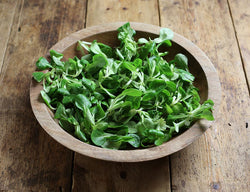 Soncino o Valerianella (200g)