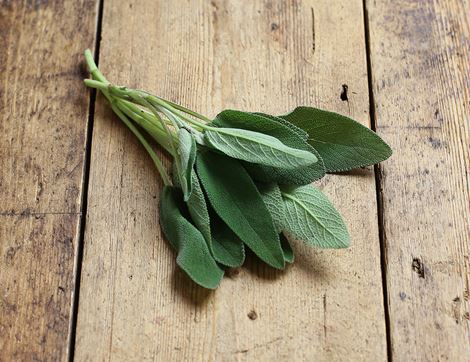 Salvia (30g)