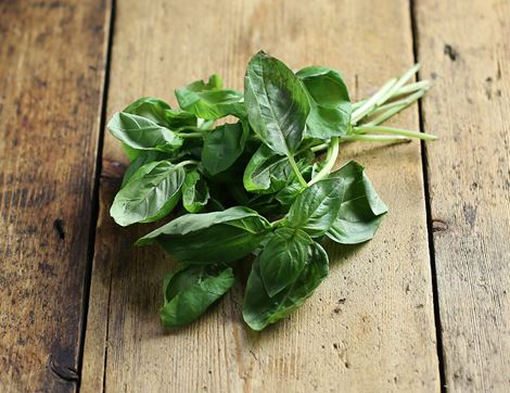 Basilico (90g)